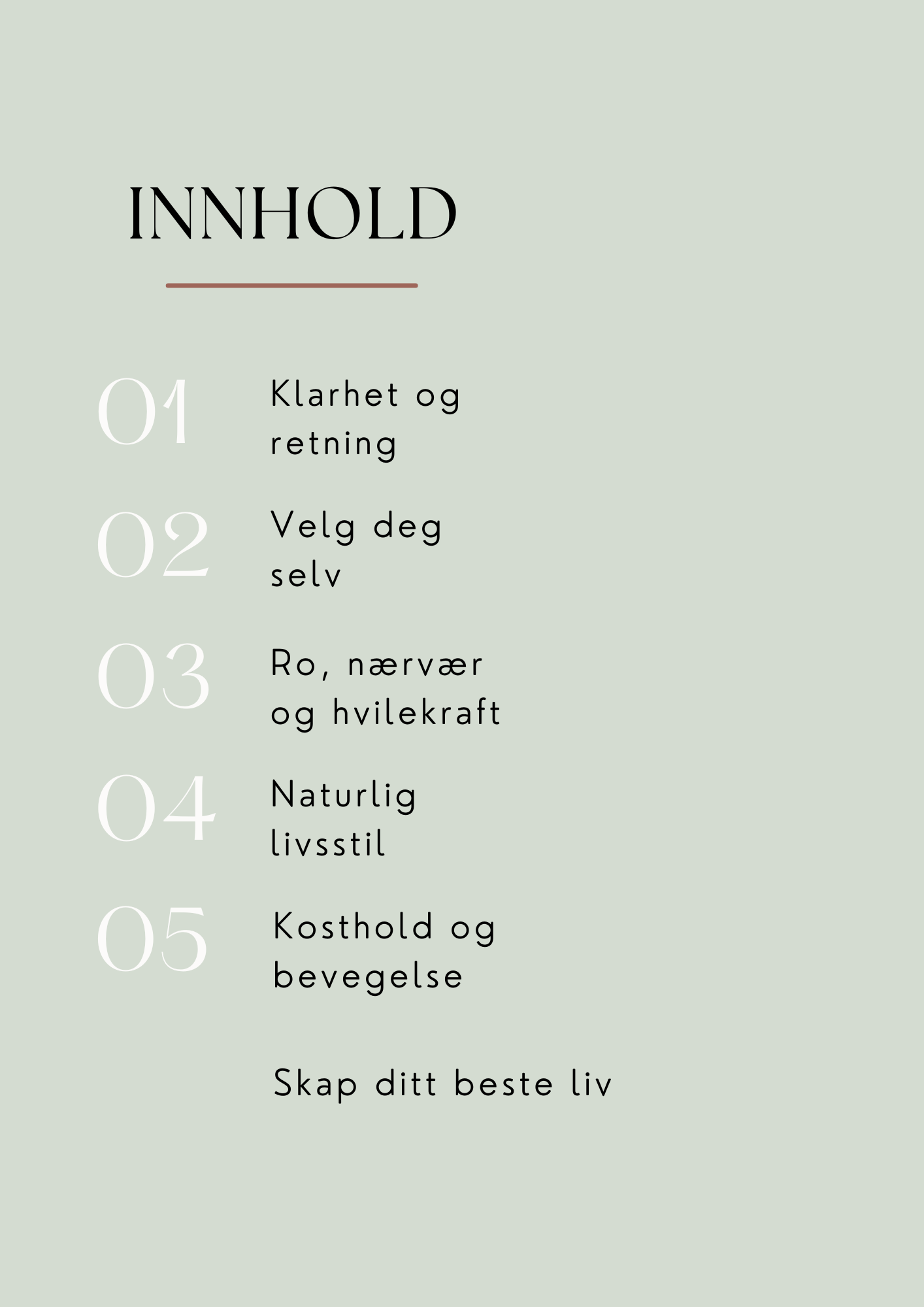 Ditt beste år (e-bok)